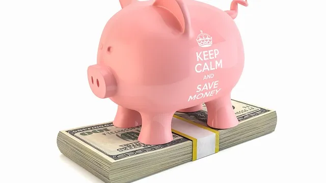 Risparmio e accumulo: i costi possono fare la differenza