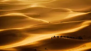 Deserto del Marocco: a tutto Sahara