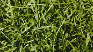 Richiamo alimentare, diversi lotti di rucola ritirati, ecco lotti e rischi