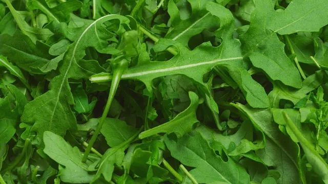 Richiami alimentari, proseguono i ritiri per la rucola, i nuovi lotti segnalati