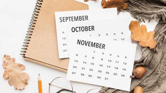 Scadenze fiscali novembre 2024, dall'IVA ai versamenti INPS, alla rottamazione: ecco le date da segnare