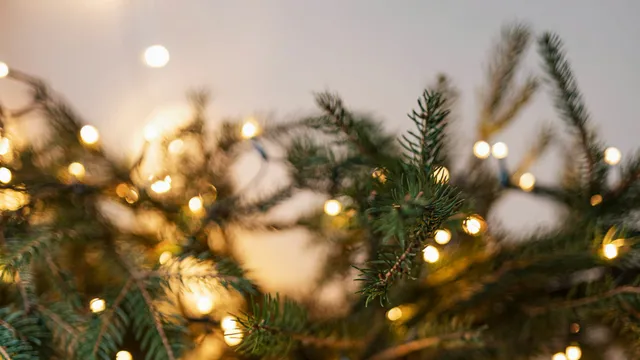 Natale 2025, usa le luci a led per i tuoi addobbi, risparmi un sacco di soldi: ecco perché