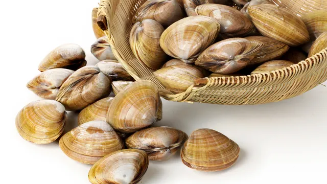 Vongole surgelate ritirate, nuovo richiamo alimentare dal Ministero