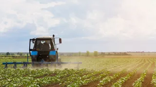 Bonus agricoltori 2025, domande al via dal 25 agosto, come richiedere 2.500 euro