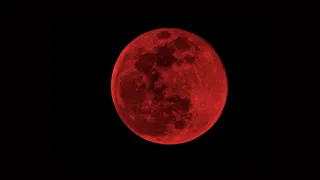 Eclissi totale di luna domenica 7 settembre 2025, come vederla e a che ora