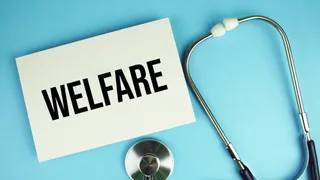 Chi paga davvero le tasse in Italia? Il peso del welfare grava su una minoranza di contribuenti