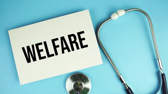 Chi paga davvero le tasse in Italia? Il peso del welfare grava su una minoranza di contribuenti