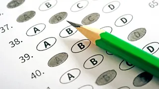 Concorsi pubblici in scadenza a novembre 2025, i principali bandi per lavorare nella PA