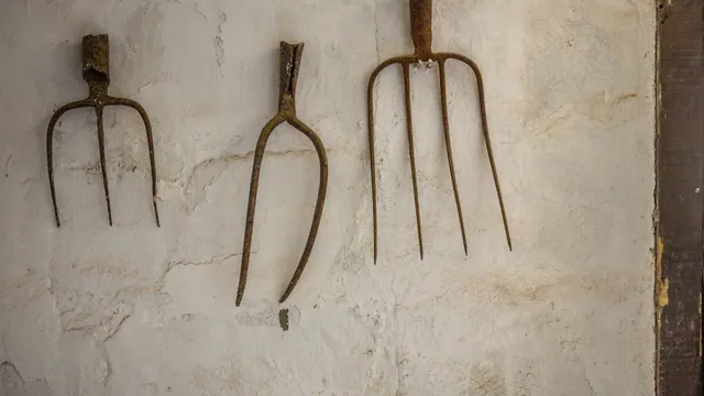 Da Zoe Trinchero a Novi Ligure, quella caccia al mostro scatenata dal killer che raddoppia la tragedia