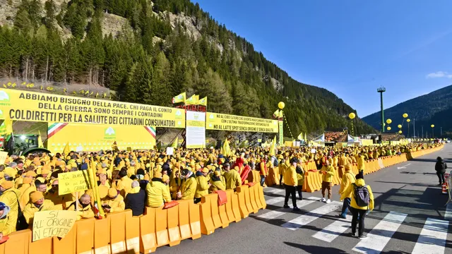 Agroalimentare, Coldiretti chiede una riforma del codice doganale