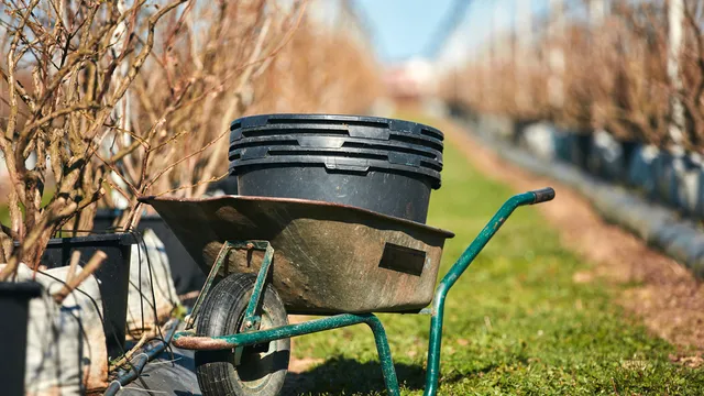 Disoccupazione Agricola 2026, siamo nei giorni dell’accredito